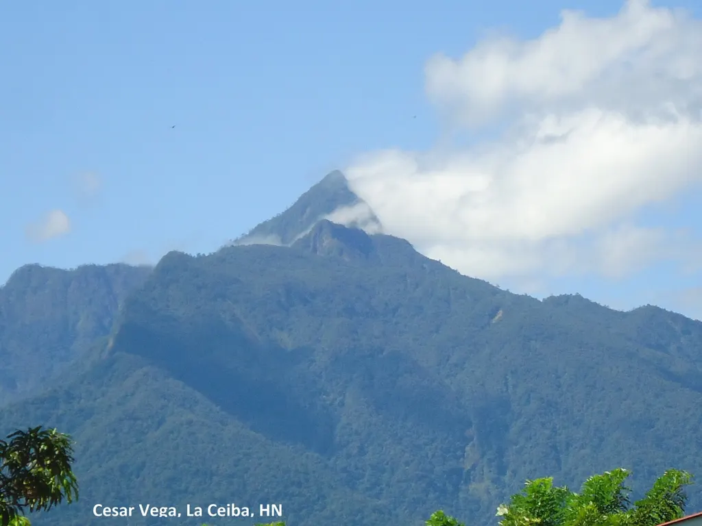 Pico Bonito visto desde La Ceiba