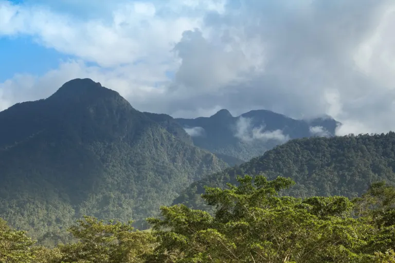 Montañas cubiertas de selva del Parque Nacional Pico Bonito, La Ceiba